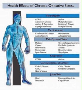 Just some of the conditions caused by oxidative stress.